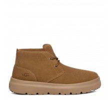 Ugg Mens Burleigh Chukka Chestnut