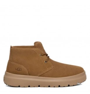 Ugg Mens Burleigh Chukka Chestnut